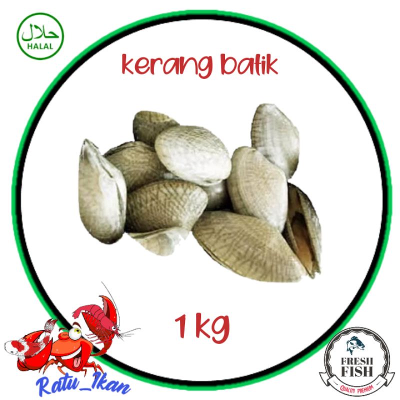 

kerang batik [ 1kg ]