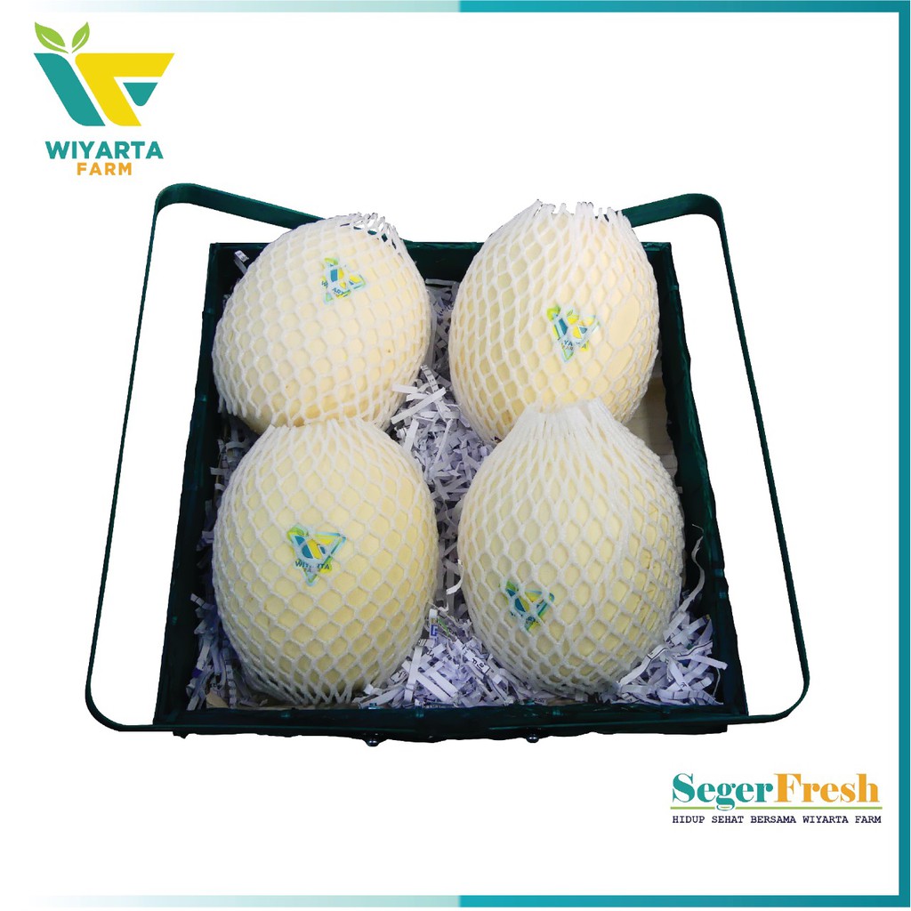 

PARCEL SEGER FRESH 1