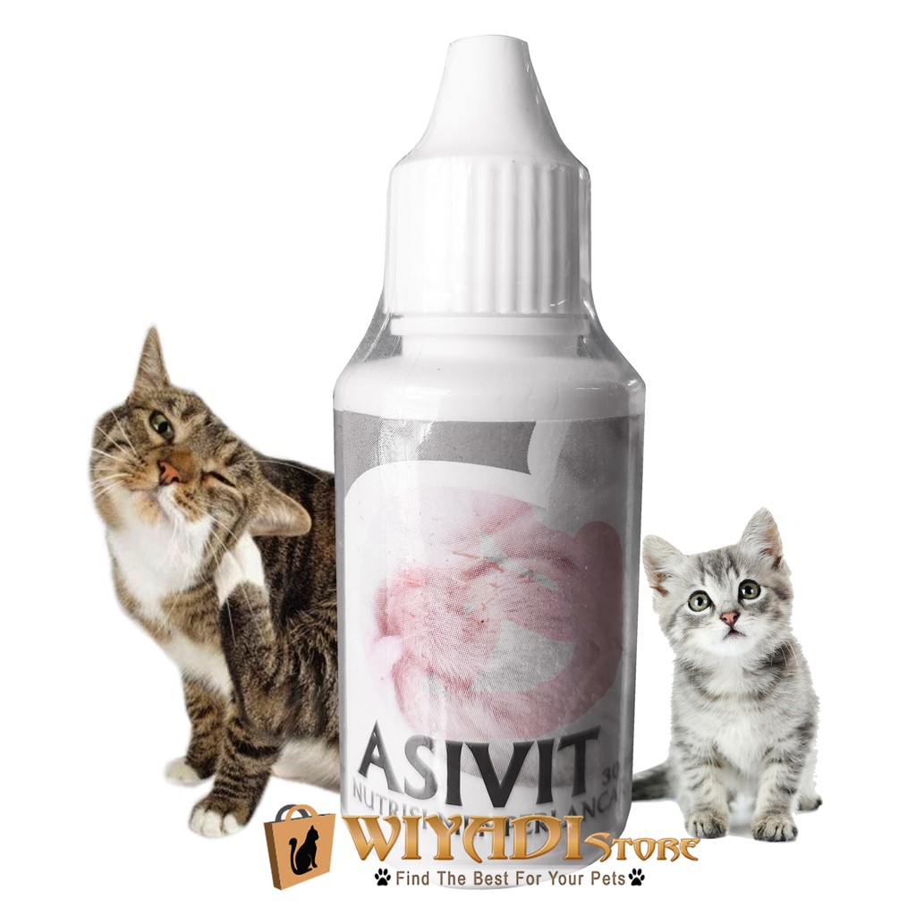 Asivit Cat - Nutrisi Memperlancar Asi Kucing Perbanyak Susu Kucing Terdaftar DEFTAN