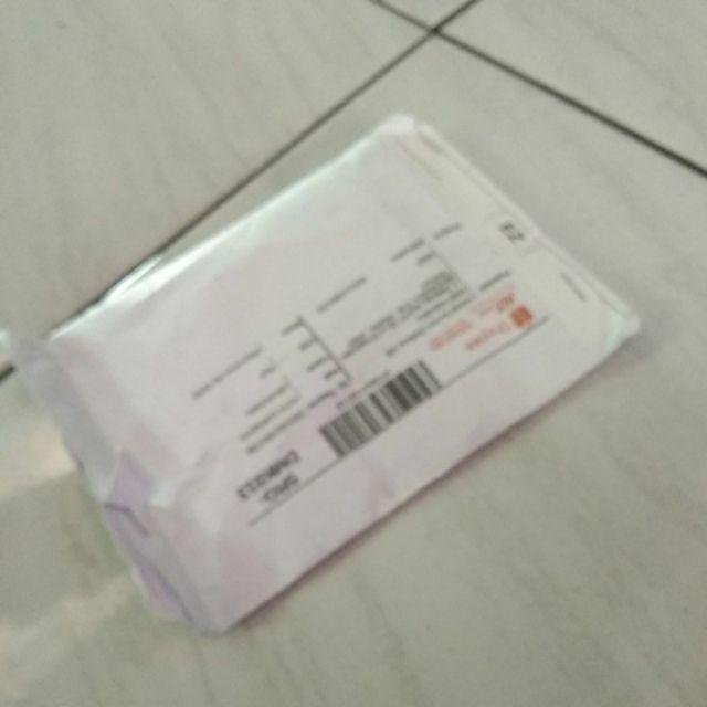 Paket Hemat Bibit Benih Biji Tanaman Ceplukan Ciplukan 300butir Gratis Polybag