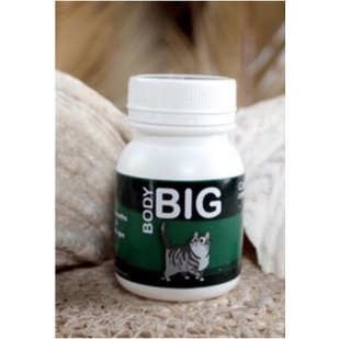 BODY BIG CAT / PENGGEMUK KUCING / VITAMIN KUCING / CAT FATER POWDER / BTM / BIG BODY