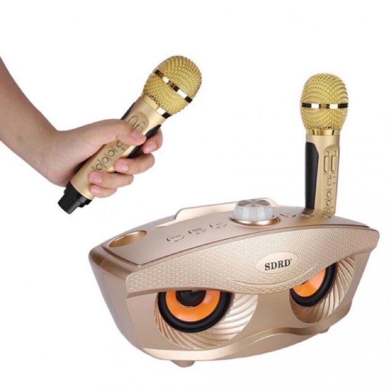 GROSIR SPEAKER BLUETOOTH MIC KARAOKE FL-306 MOTIF OWL+FREE 2MIC WIRELESS