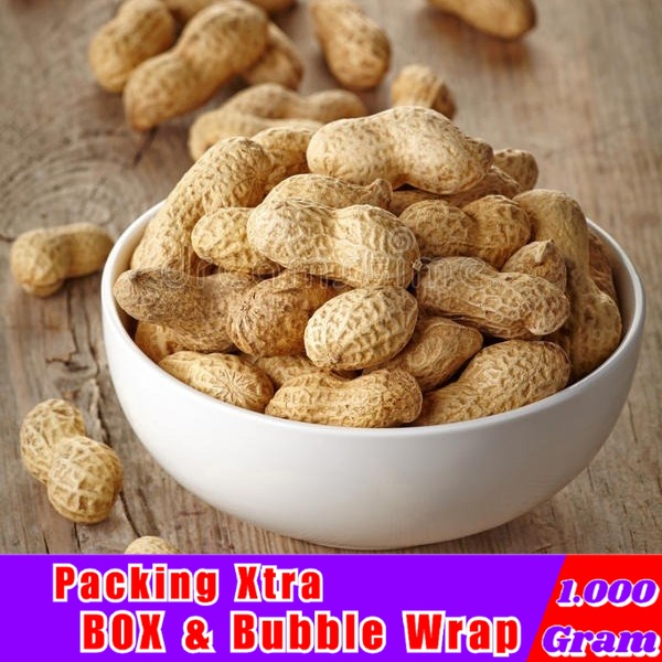 

[1Kg] Kacang Tanah Sangrai / Kacang Tanah Kering - Hufaida Snack snack kiloan