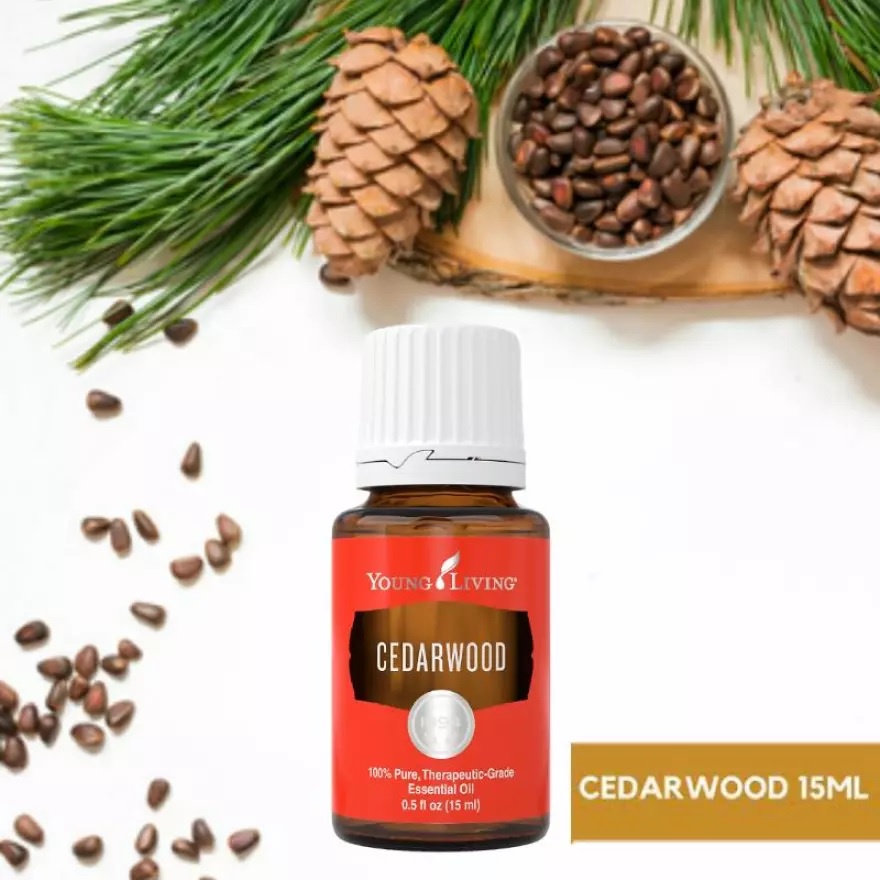 Cedarwood Young Living Essential Oil - 15ml