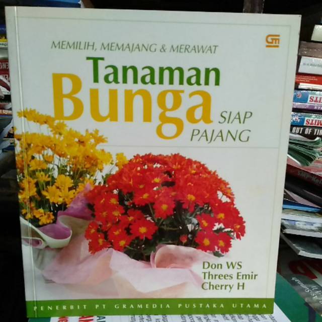 

Tanaman bunga siap pajang