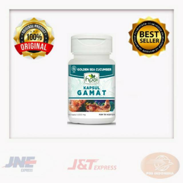 Gamat kapsul HNI | Ekstra gamat (tripang) emas