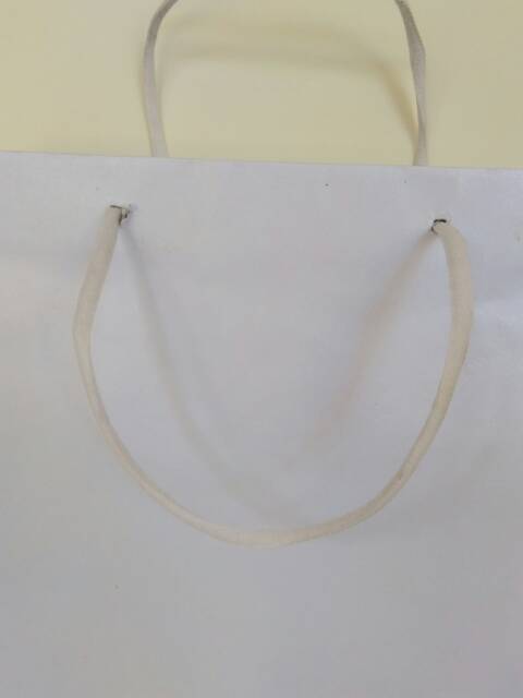 (1 PCS) PAPERBAG PUTIH L POLOS (ALAS 25x12 X TINGGI 33)