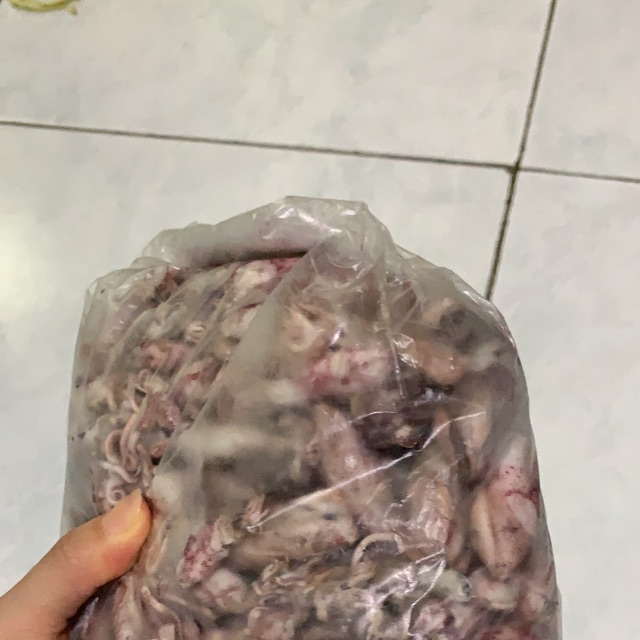 

Cumi sotong asin fresh 500gr