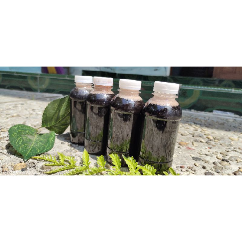 Madu kelulut super Kalimantan/madu kelulut Borneo super/madu kelulut hitam/madu hitam super/madu