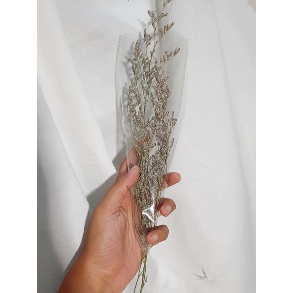 Caspea Bunga Kering Premium