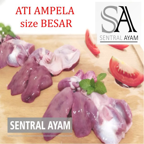 

Ati Ampela Ayam Ukuran Size Besar FRESH FROZEN
