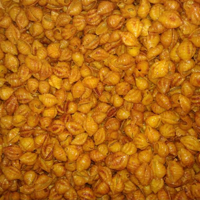 

Makaroni Kerang 1kg - Makaroni KEONG-MAKARONI Kewuk