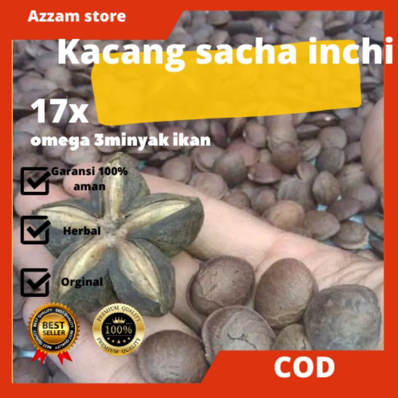 

kacang sacha inchi 1kg omega 3,6,9 suplemen tubuh ibu hamil dan anak