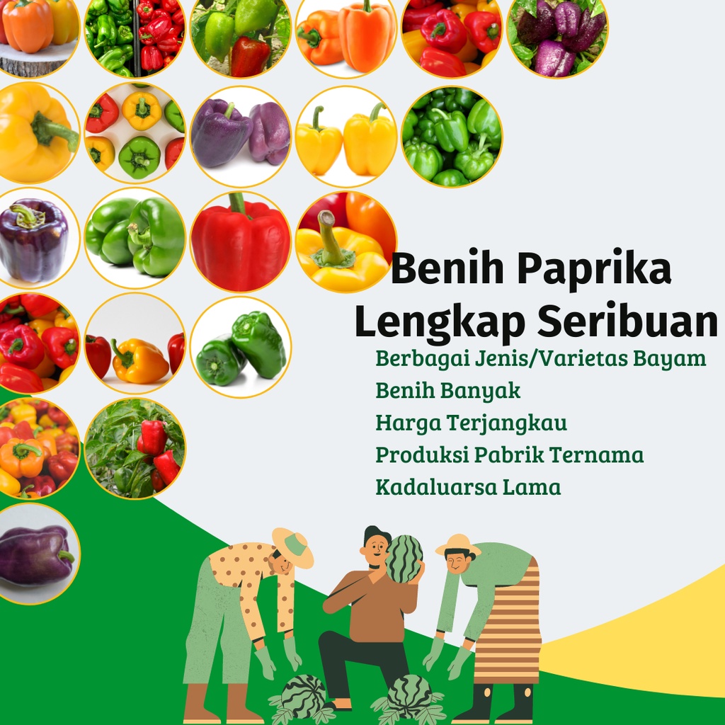 Benih Paprika Lengkap Serba Seribuan