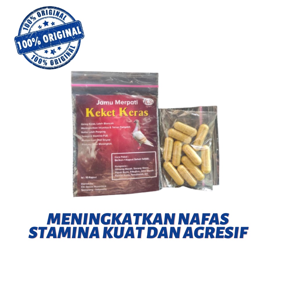 Jamu Merpati keket keras - giring merpati / doro