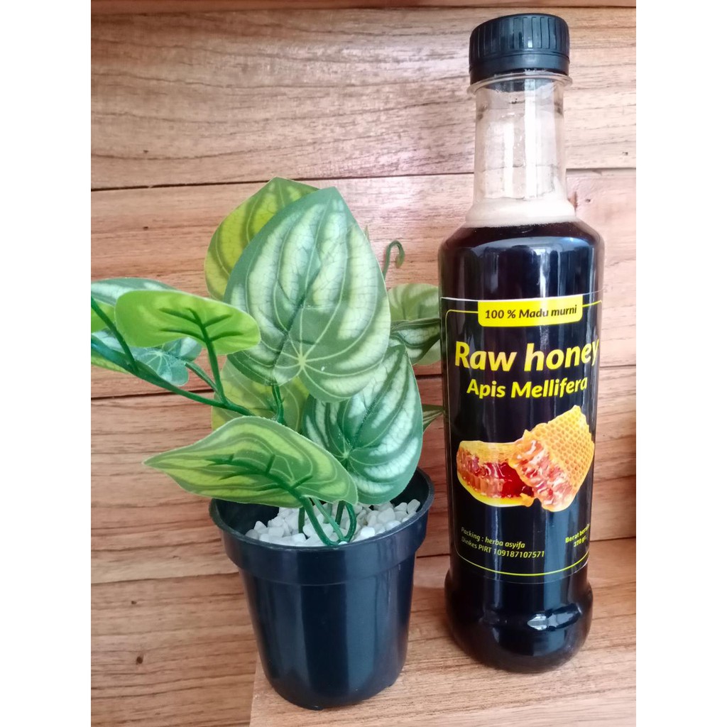 

Raw Honey Apis Malifera (madu hutan)
