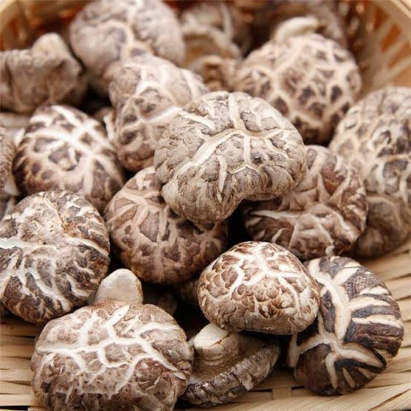

Jamur Shitake kering / Mo Ku / siang ku 100 gr