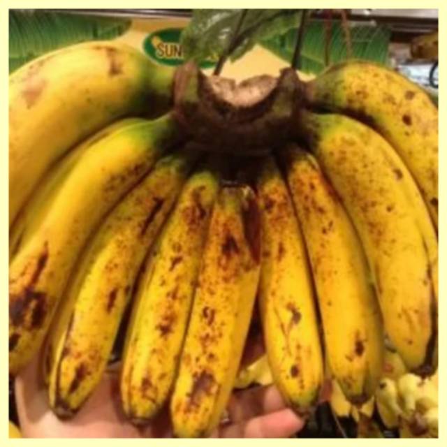 Buah Pisang Barangan Medan Manis Legit Per Sisir Parcel Buah Indonesia