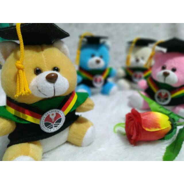 BONEKA WISUDA CUSTOM TOGA EKSLUSIF / BONEKA WISUDA / BONEKA BUKET MURAH / HADIAH WISUDA