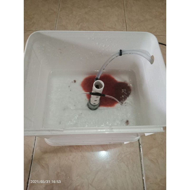 wadah cacing sutra I tempat cacing sutra casut