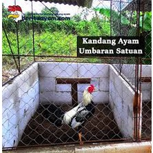 Jaring Pagar Ayam 1.5 meter/Jaring Size Lubang 2 inch /Jaring Kandang /Jaring Burung / Jaring Taman 