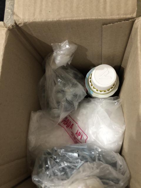 Paku Payung 5 Cm ( 250 Gram )