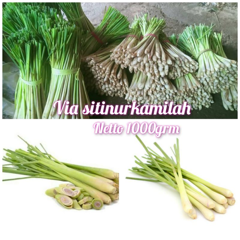 cod serai masak 1 kg serai bumbu
