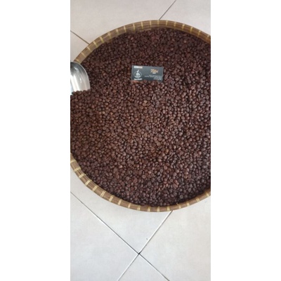

robusta lampung