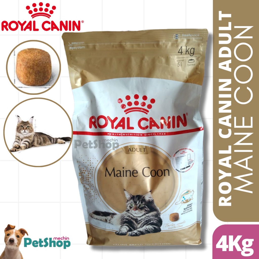 ROYAL CANIN CAT ADULT MAINE COON 4KG / MAKANAN KERING KUCING RAS MAINE COON