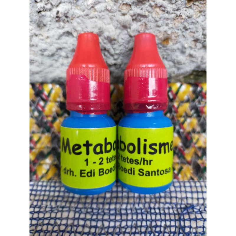 METABOLISME IJO/SEGEL MERAH