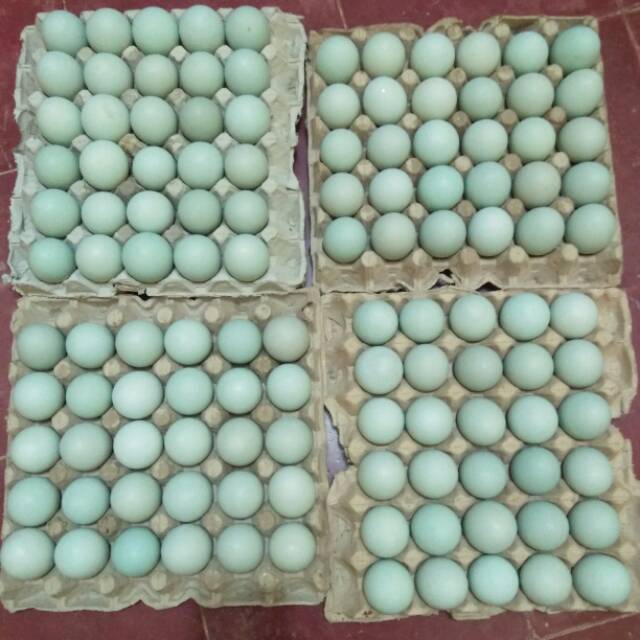 

Telur Asin Bebek Plered Purwakarta