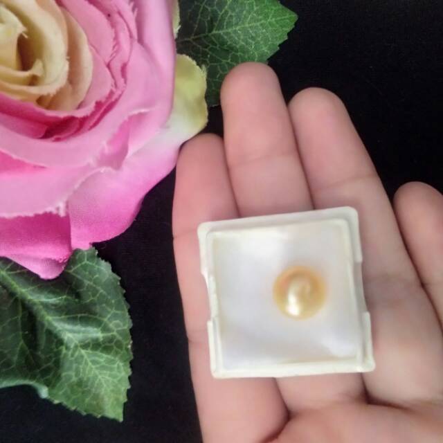 mutiara air tawar asli