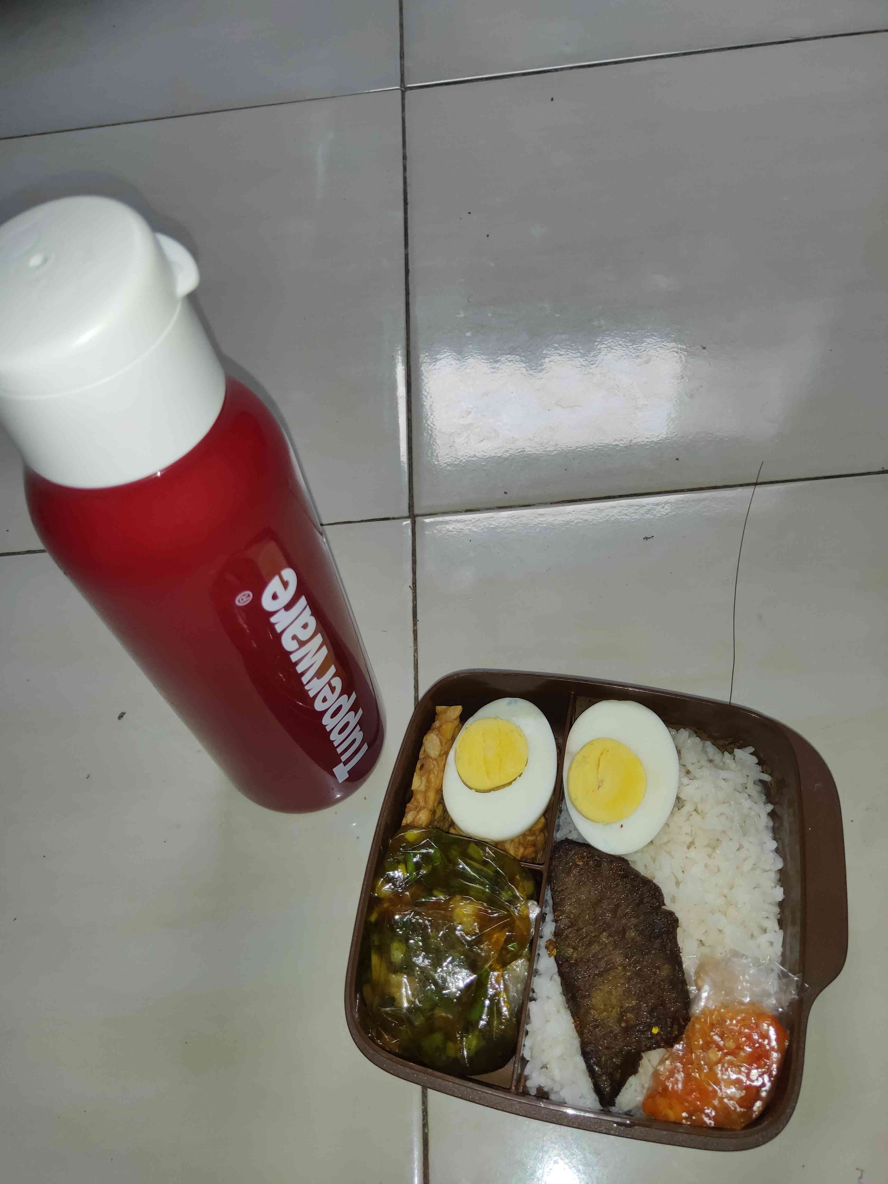 Lolly Tups Wadah Bekal (1)