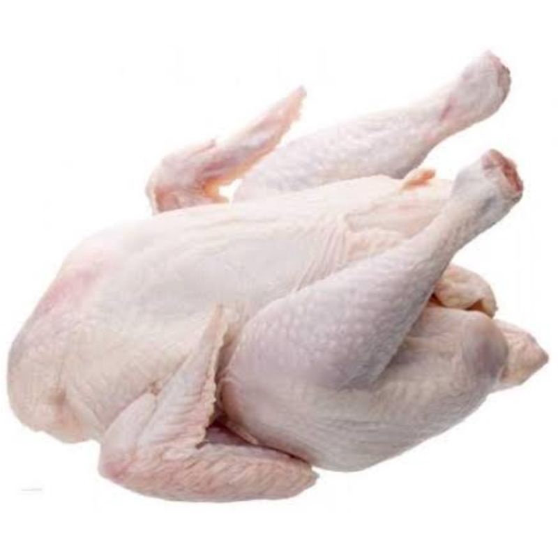 

Ayam Potong Ukuran sedang