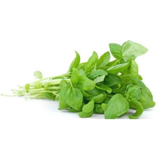 

SAYUR BAYAM HIJAU SEGAR