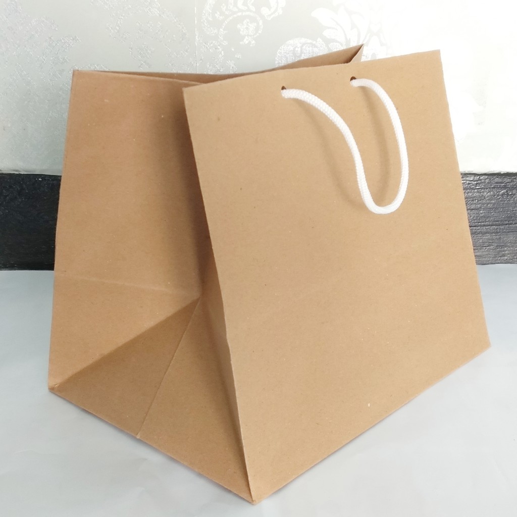 paper bag polos/ tas kertas / kotak nasi /bento 22x22 ukuran P25 x T26