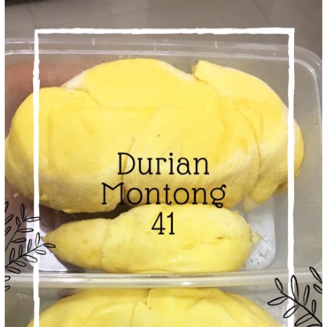 

DURIAN MONTONG SULAWESI KUALITAS SUPER 500gr