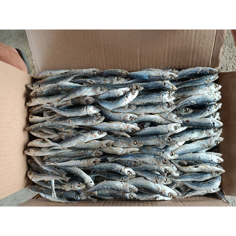 

ikan asin layang Deles rebus segar murah 500g