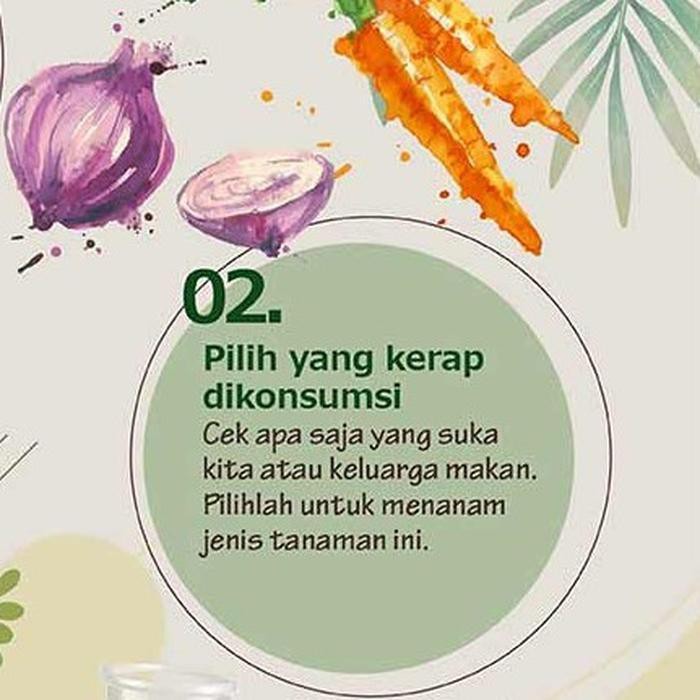 Benih Sayur Bibit Tanaman Sayuran Bawang Cabe Kacang Oyong Pare Timun Terong Tomat Wortel-3