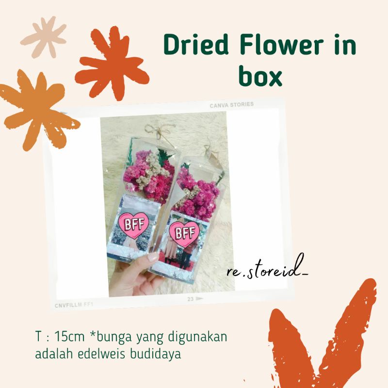 EDELWEIS BUKET MINI BOX MIKA