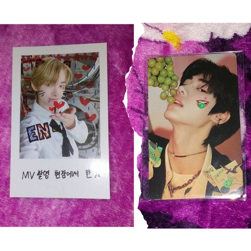 PC BENE SHOPEE ENHYPEN SUNGHOON / SUNGHOON ANGGUR [Baca Deskripsi]