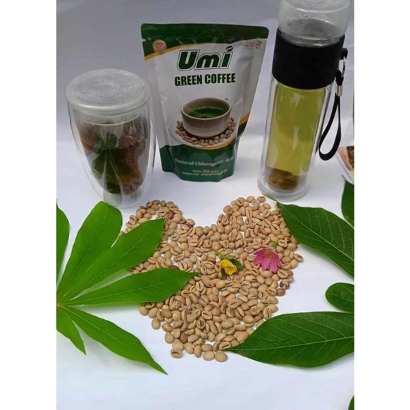 UGC (Umi Green Coffee)