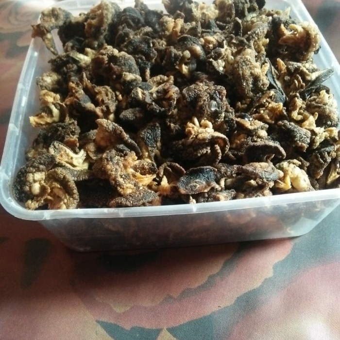 

TERLARIS kripik bekicot 250gr
