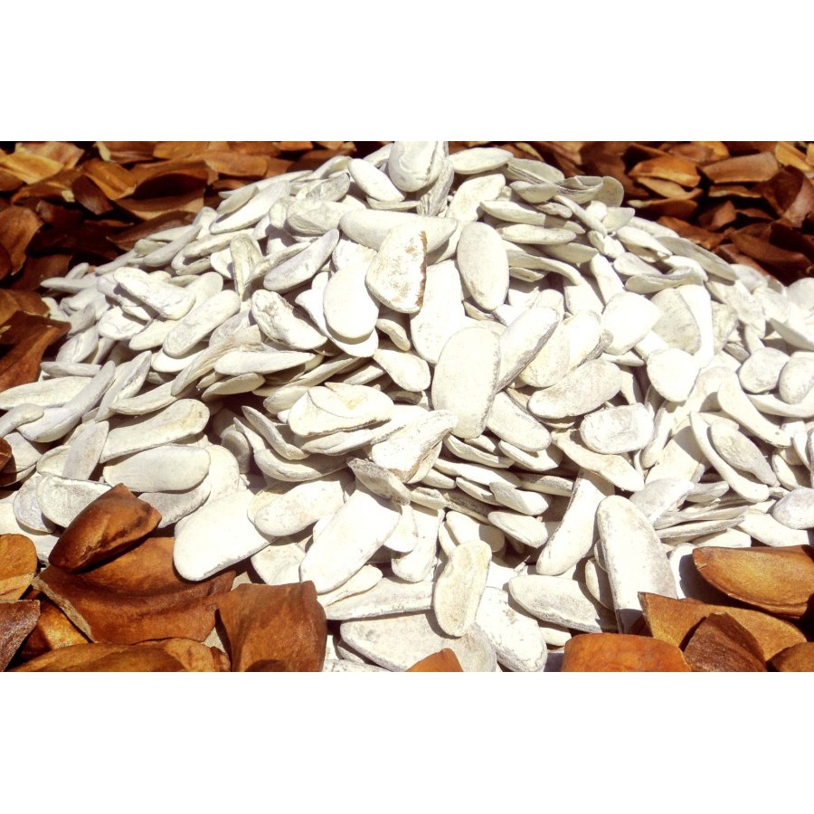 

Biji Buah Mahoni Kupas / Sky Fruits / Xiang Tian Guo " Isi 100GR