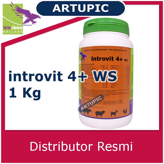 introvit 4+ WS 1 kg mempercepat pertumbuhan penambah berat badan meningkatkan produksi telur daya tahan tubuh mengatasi stres stamina kualitas daging telur susu pindah kandang stres cuaca Sapi Kambing Babi Ayam Domba