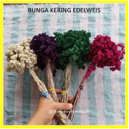 Dried flower Bunga / Bunga Kering Asli / Bunga Kering / Hasil Budidaya Petani Lawu