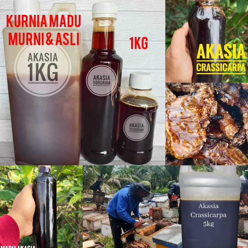

Madu Akasia 1KG murni asli
