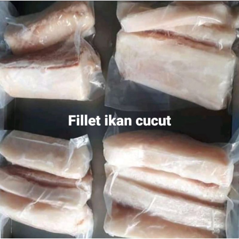 Fillet ikan Cucut beku pengganti kakap fillet 1 kg