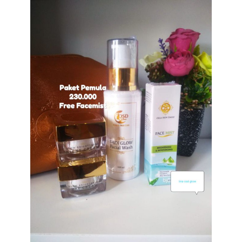 Paket Pemula Olla skin Daily Free Facemist
