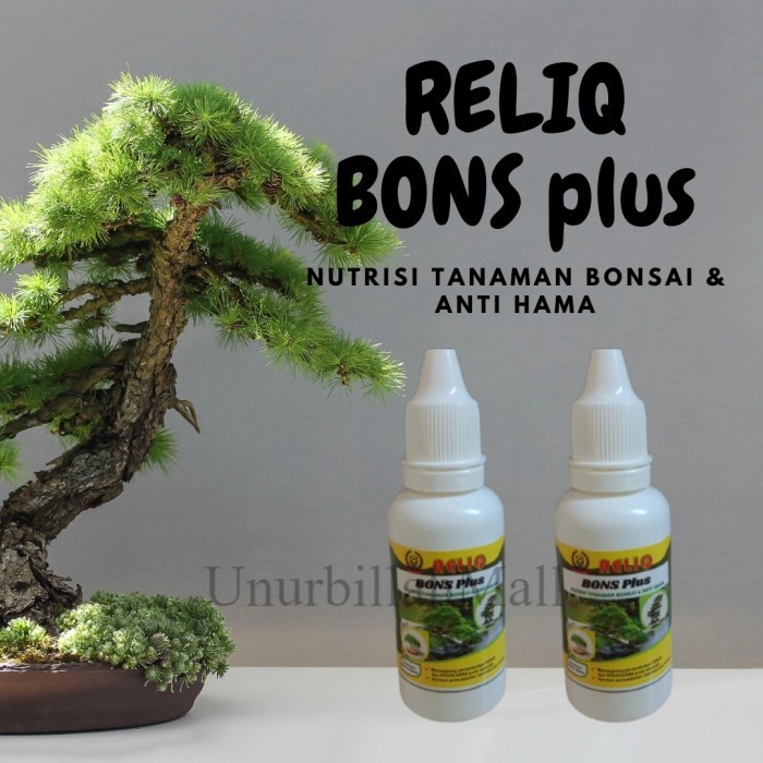 Nutrisi Tanaman Bonsai Serut, Pupuk Hormon Reliq Bons Plus